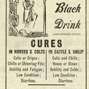 Days Black Drink - Cures for animals
