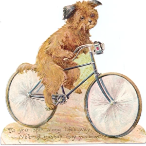 Dog on a bicycle on a cutout greetings card
