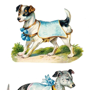 Dogs in blue on two Victorian scraps