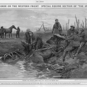 Dragging two artillery horses on Western Front by Matania