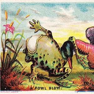 Duck, frog and egg on a comic card