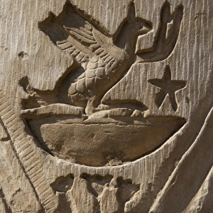 Egyptian Art. Temple of Kom Ombo. Bird. Relief