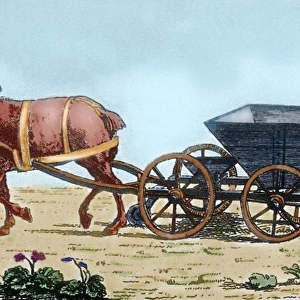 Eighteenth century. Farmer with a seed drill