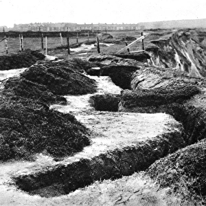 Entrenchments, similar to the type used at the front, on the cliffs along the east coast of England
