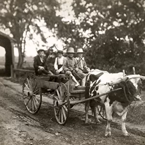 Farming in Canada c. 1920, farm children on an ox cart