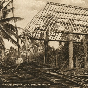 Framework of a Tongan House