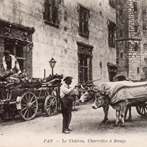 France - Pau - The Chateau and Ox carts