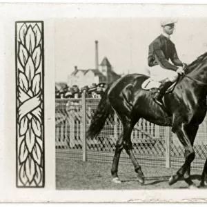 Fuji San, Australian race horse