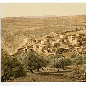 General view, Bethany, Holy Land, (i. e. West Bank)