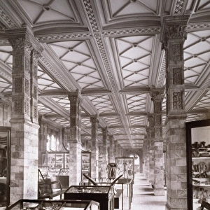 Geological Gallery, 1882
