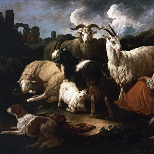 George Romney (1734-1802). Shepherdess with goats and sheep