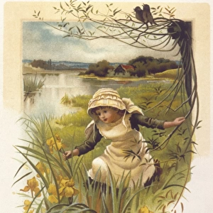 Girl Among Flowers 1889