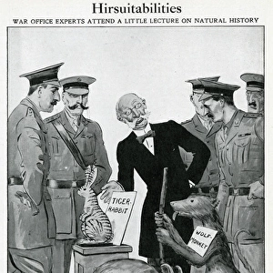 Goatskin shortages in 1915: humourous alternatives suggested