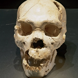Homo heidelbergensis. Skull number 5. Atapuerca, Spain