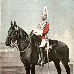 Household Horse Guard Cavalry 1894