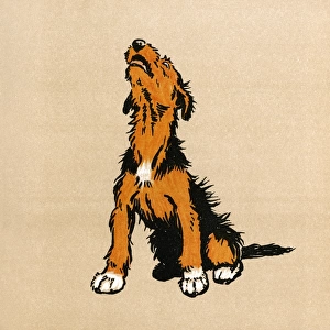 Illustration by Cecil Aldin, The Mongrel Puppy Book