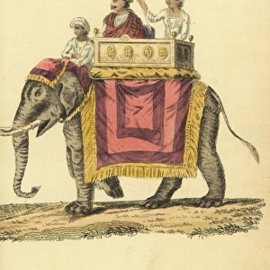 Indian nobleman on a palanquin on an elephant