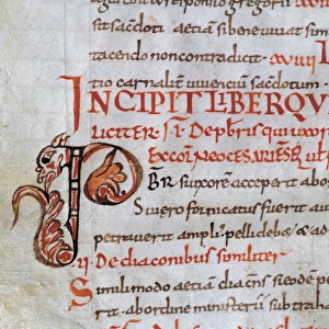 Initial. Carolingian letter