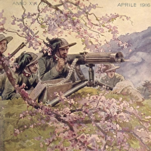 Italian light infantrymen with pink blossom, WW1