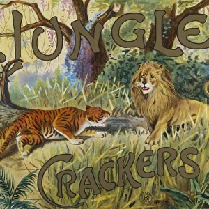 Jungle Crackers box label design