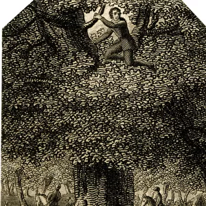 King Charles II in the oak - 18th century engraving