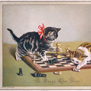 Two kittens on a New Year card