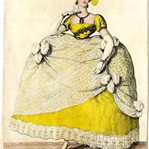 Lady in Court dress worn on His Majestys birthday