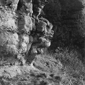 Lion Face Rock Formation