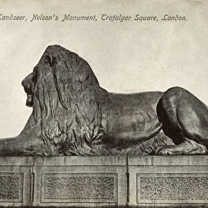 Lion by Landseer, Nelsons Column, Trafalgar Square, London