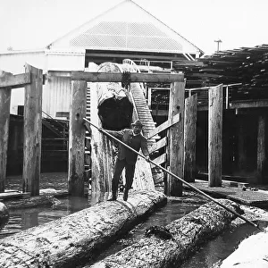 Lumber Mill Washington USA early 1900s
