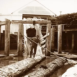 Lumber Mill Washington USA early 1900s