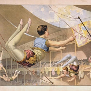 Five male trapeze artists performing at a circus