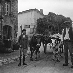 Man and boy with ox cart, France