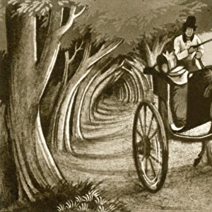 Man in a Horse-Drawn Cart