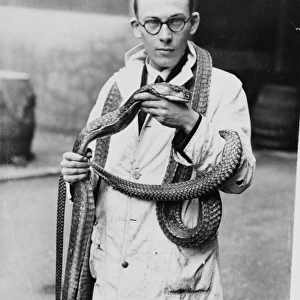 Man wearing snake, 1930s