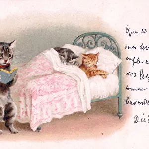 Mother cat reading to kittens on a postcard