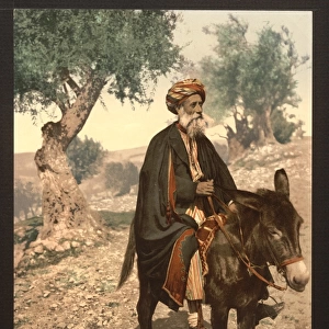 Native of Bethlehem on his donkey, Holy Land, (i. e. West Ba