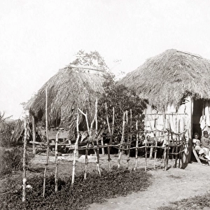 Native huts, Puerto Rico, circa 1900