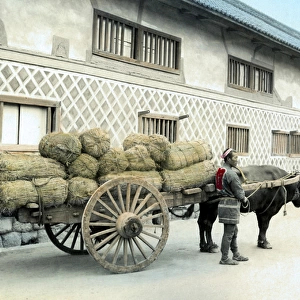 Ox cart with rice bales, Japan
