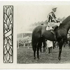 Pantheon, Australian race horse