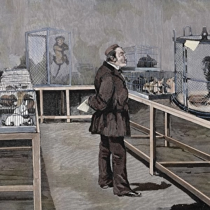 PASTEUR, Louis (1822-1895). Pasteur observes the effects of