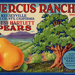 Pears and Farm