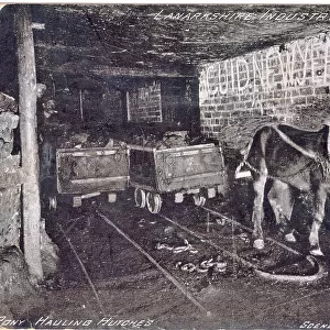 Pit pony with handler underground in Lanarkshire mine