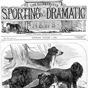 Prize Winning Dogs at the Alexandra Palace Show, 1876