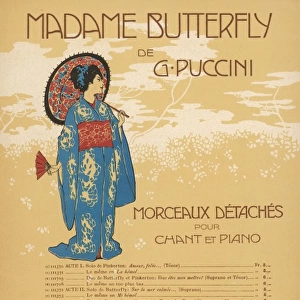 Puccini Butterfly Arrang