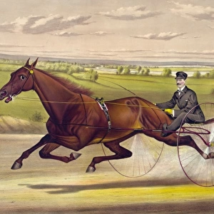 The queen of the turf Maud S. driven by W. W. Bair: by Harold