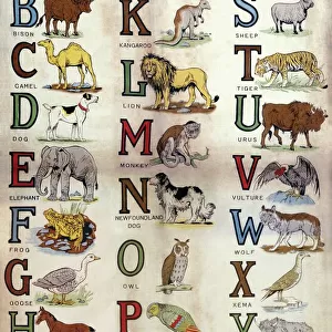 Rag Animal Alphabet