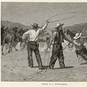 Remington / Cowboys Lasso