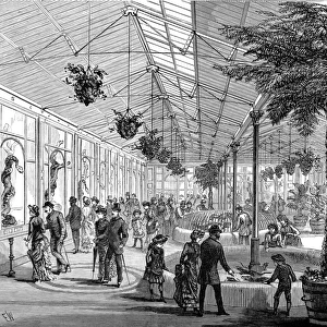 The Reptile House of London Zoo, 1883