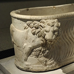 Roman sarcophagus with lions. 3rd century BC